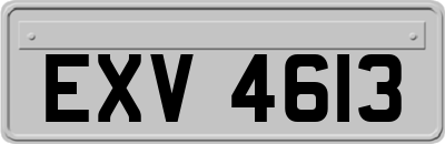 EXV4613