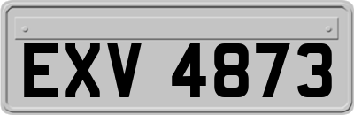 EXV4873