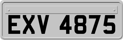 EXV4875