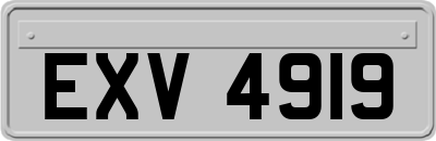 EXV4919