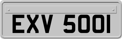 EXV5001