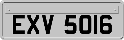 EXV5016