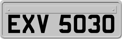 EXV5030