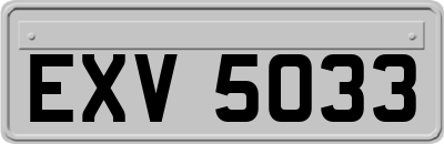 EXV5033
