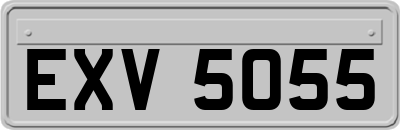 EXV5055