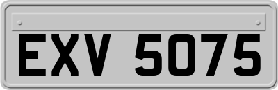 EXV5075