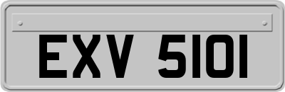 EXV5101