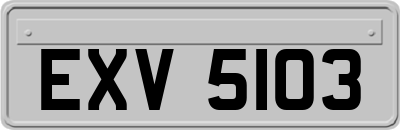EXV5103