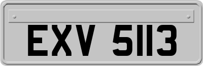 EXV5113