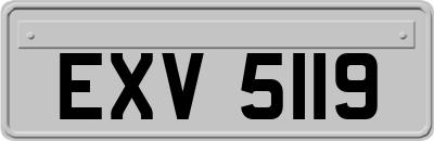 EXV5119