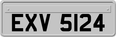 EXV5124