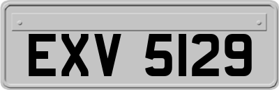EXV5129
