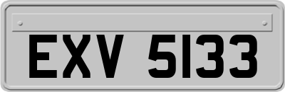 EXV5133