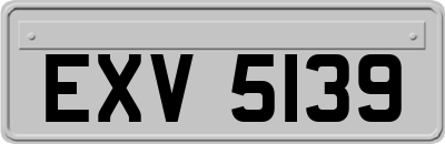 EXV5139