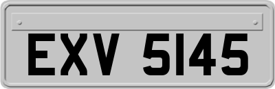 EXV5145