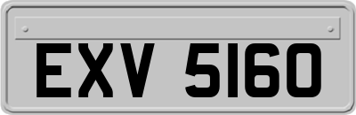 EXV5160