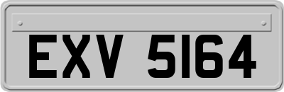 EXV5164