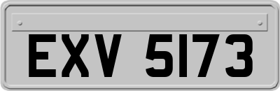 EXV5173