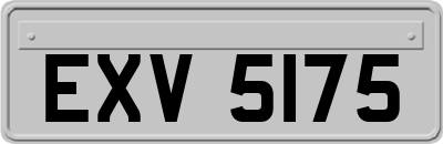 EXV5175