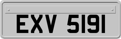 EXV5191