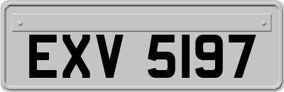 EXV5197