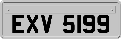 EXV5199