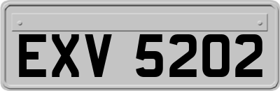 EXV5202