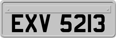 EXV5213