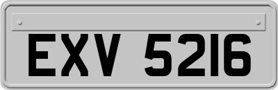 EXV5216