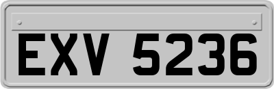 EXV5236