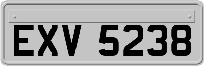 EXV5238