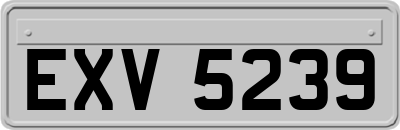 EXV5239