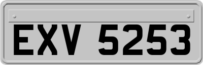 EXV5253