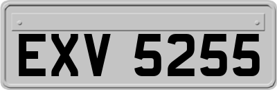 EXV5255