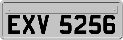 EXV5256