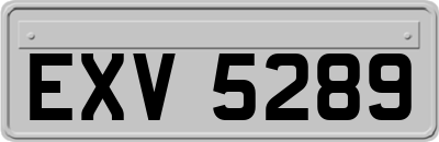 EXV5289