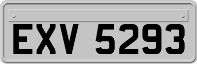 EXV5293