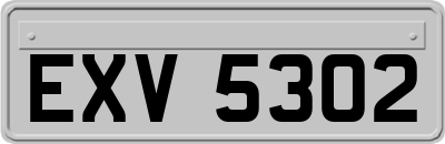 EXV5302