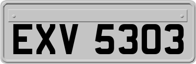 EXV5303