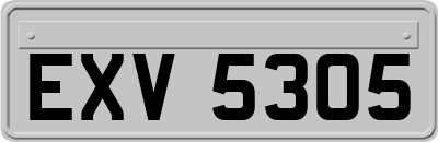 EXV5305