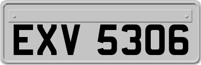 EXV5306