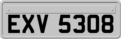 EXV5308