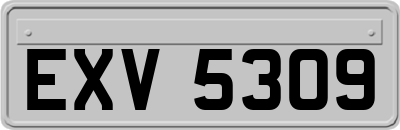 EXV5309