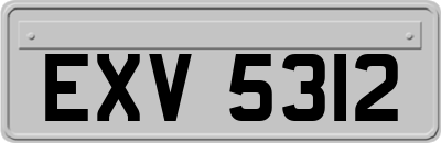 EXV5312