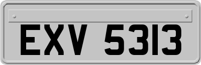 EXV5313