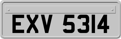 EXV5314