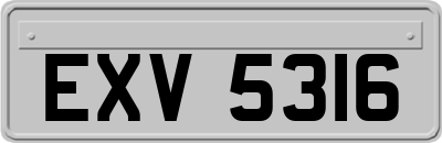 EXV5316