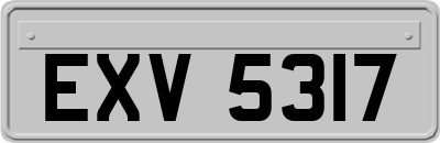 EXV5317