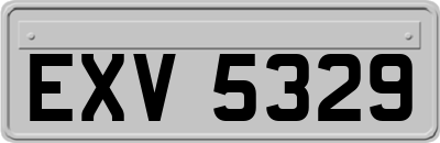 EXV5329