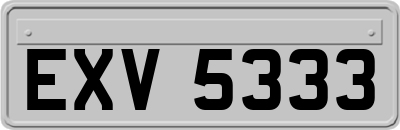 EXV5333